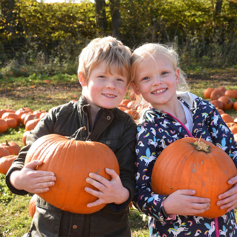 PYO Pumpkins at Doddington Hall