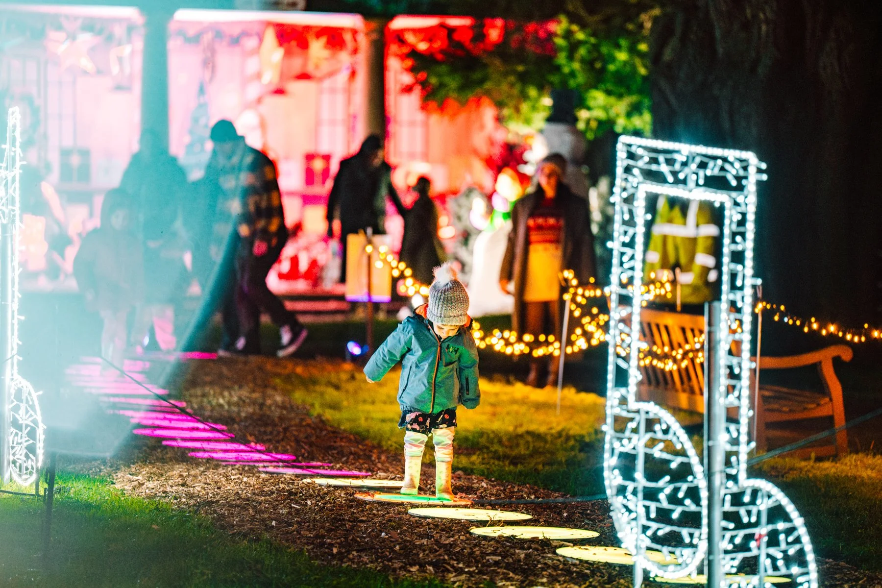 Wollaton Winter Light Trail