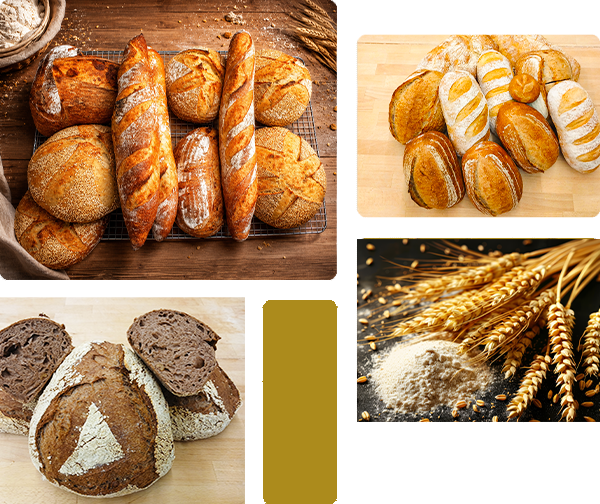 Dreamworth Artisan Bakery