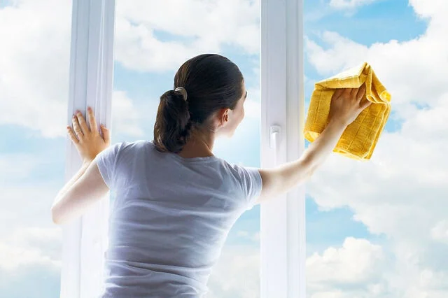 Cleaning Maid Simple